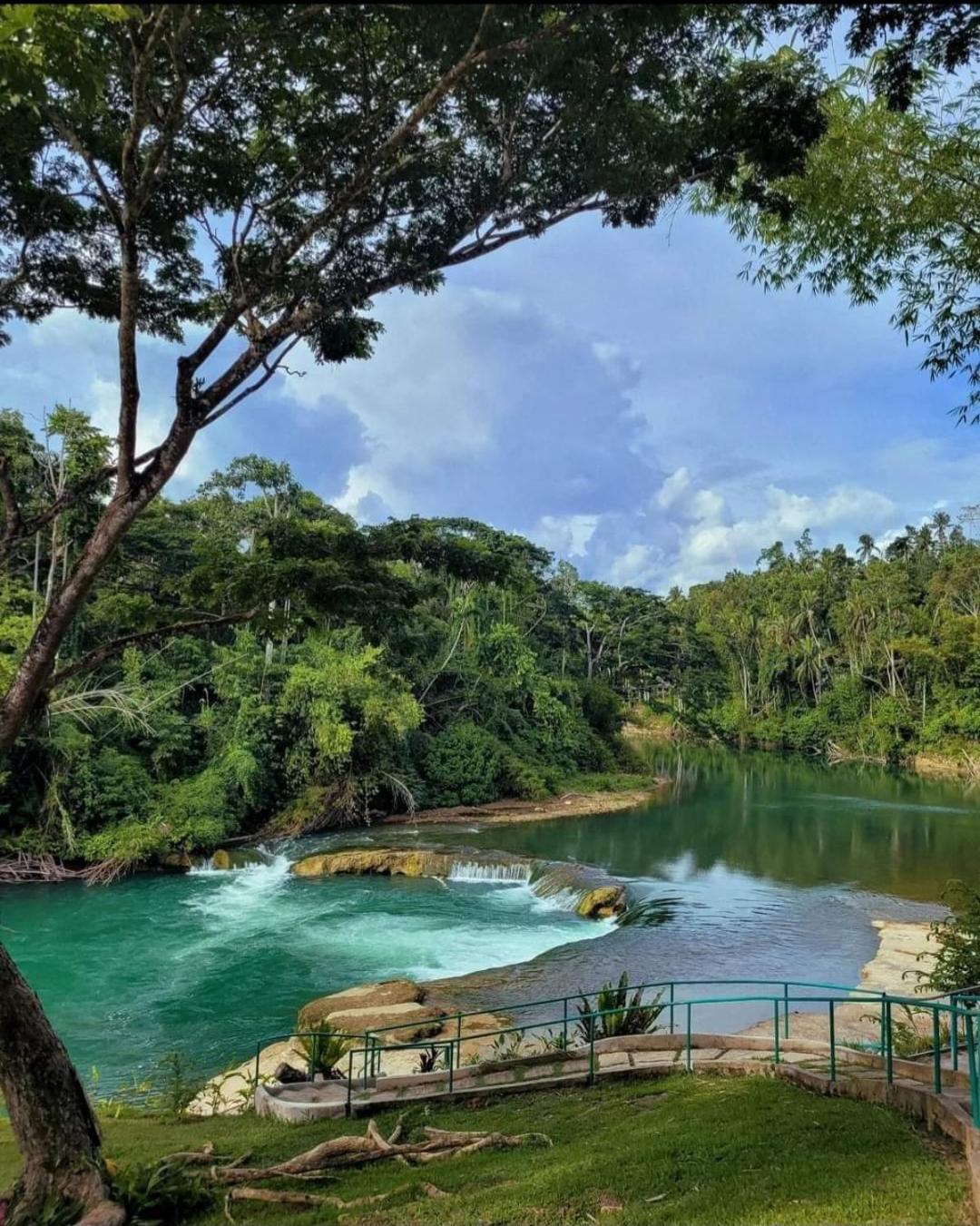 Loboc Nipa Huts Cottages Rental Eksteriør billede