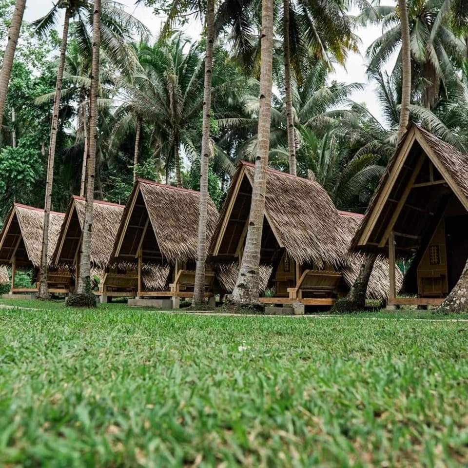 Loboc Nipa Huts Cottages Rental Eksteriør billede